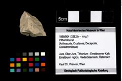 Foto (Objekt + Etikett) von Pithonoton sp.  (NHMW-GEO-1990-0041-3262b)